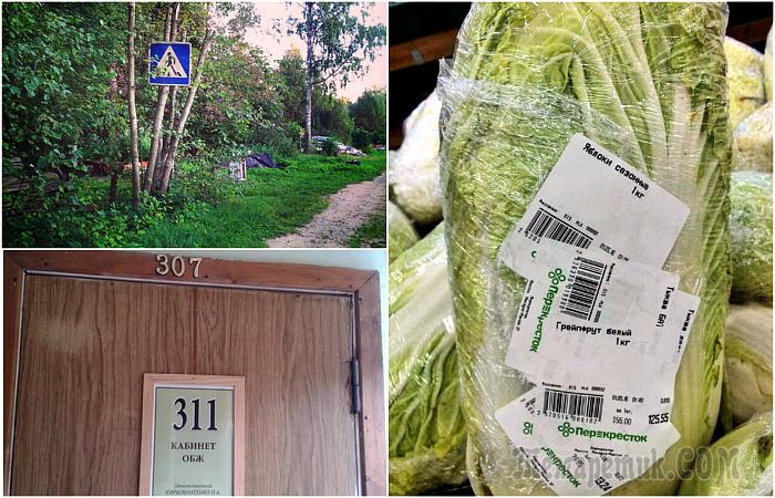 Снимки, которые полностью ломают понятие о логике и здравом смысле