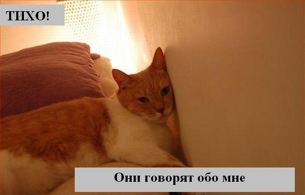 Мысли вслух :) Мысли вслух :)