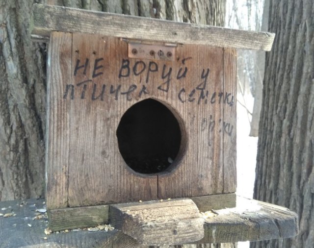 Фотоподборка пятницы  