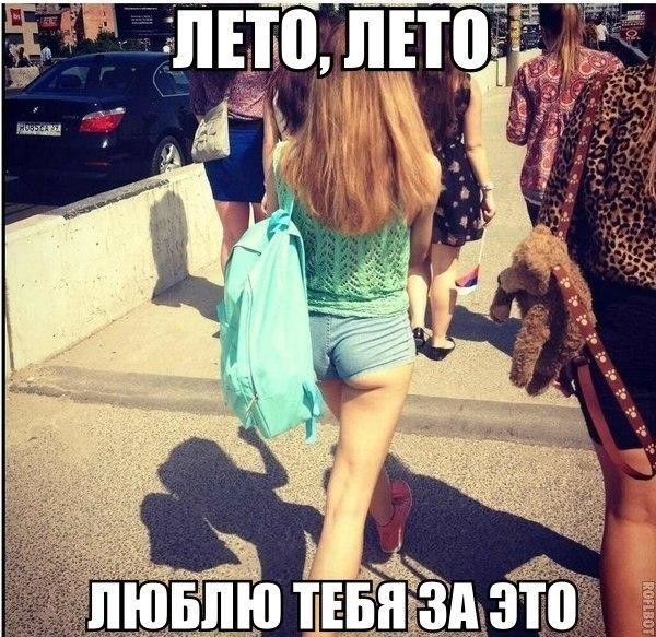 Смешные картинки с надписями прикол, юмор