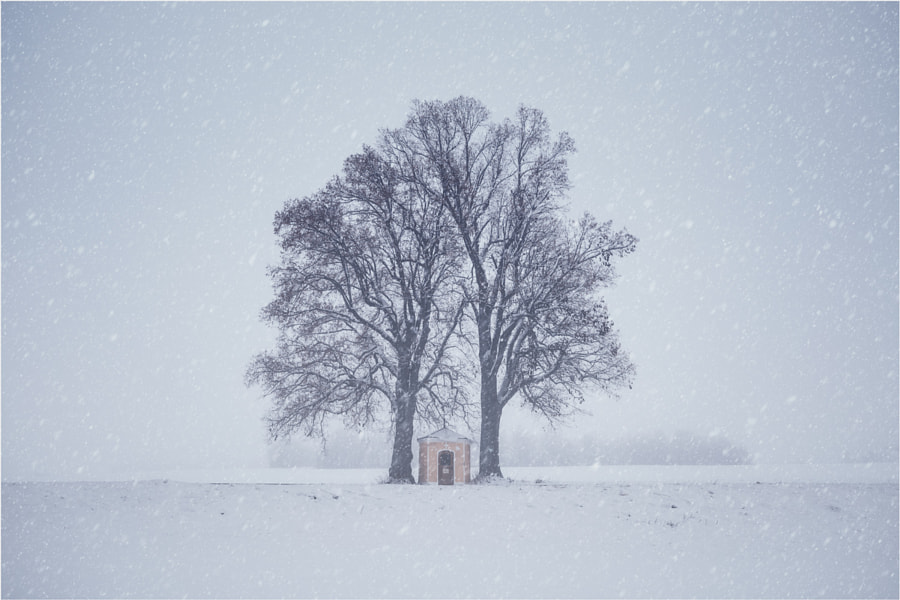 [ winter auf der alb ] by DEIWAT  on 500px.com