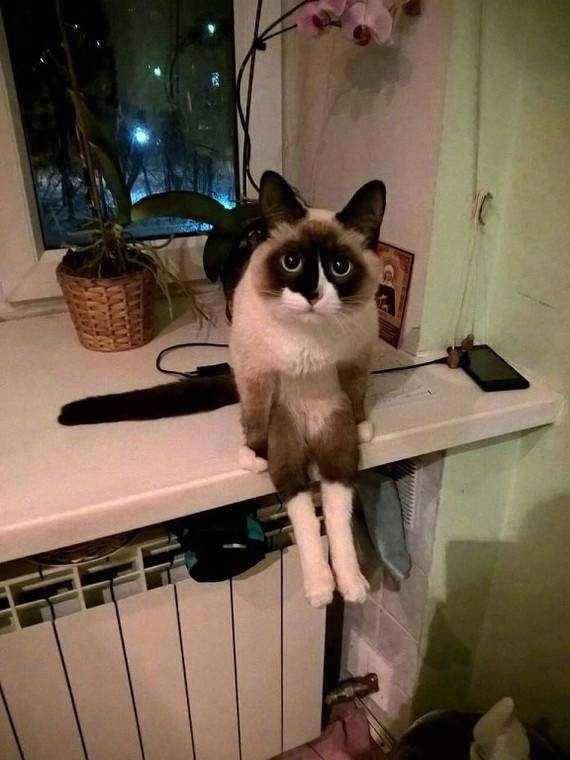 Молодые выбирают имя своему первенцу..