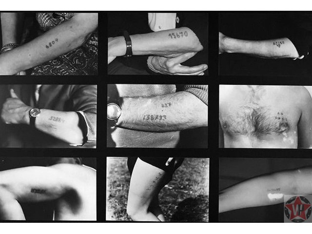 Непридуманный рассказ о войне Непридуманный рассказ о войне история