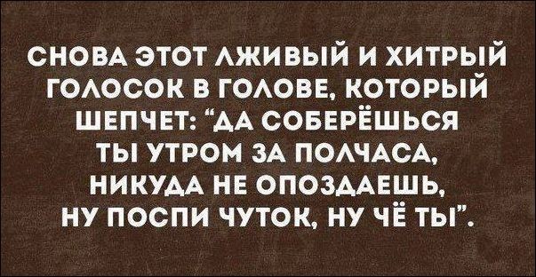 Смешные «Аткрытки» аткрытки, прикол, юмор