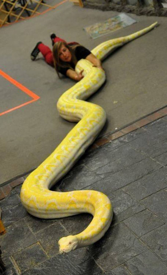 Прикольные картинки и фото 2022 