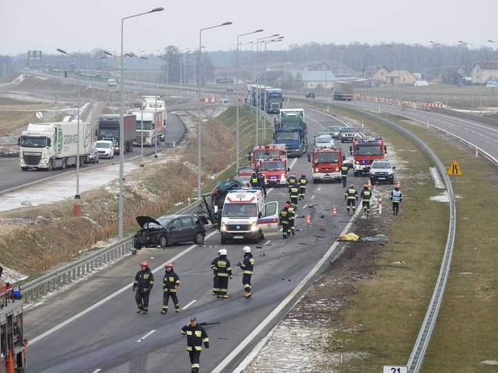 Два польских водителя дрались на трассе – их насмерть сбил белорусский дальнобойщик Польша, драка, дтп