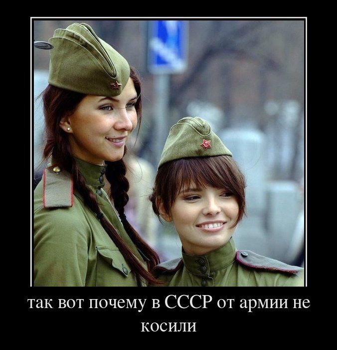 Подборка смешных и веселых демотиваторов для настроения (11 фото)