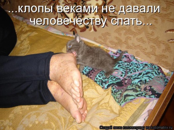 Мысли вслух :)