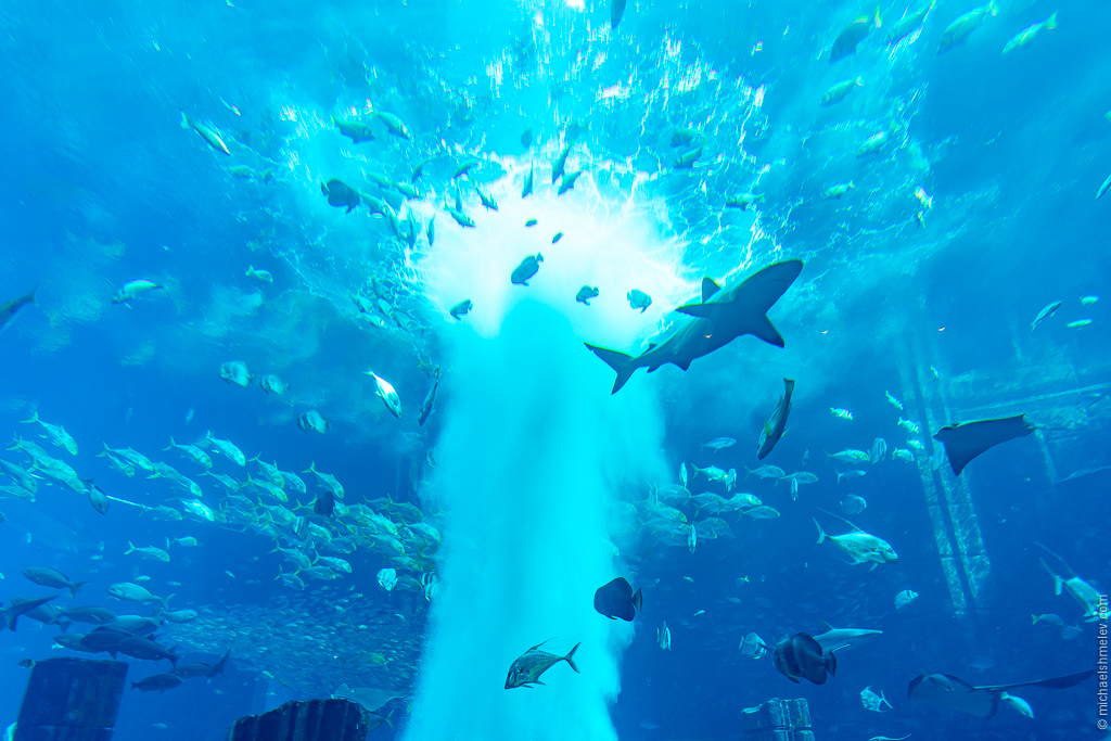 Дубай: успеть за 10 дней авиатур