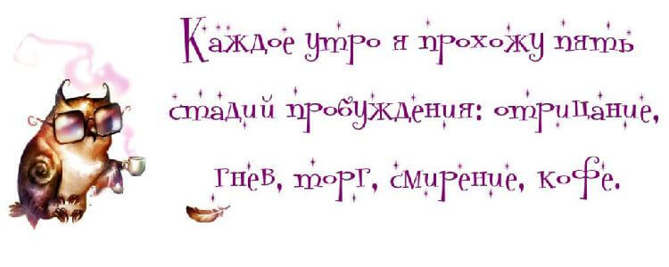 15 смешных цитат о жизни женщины 15 смешных цитат о жизни женщины