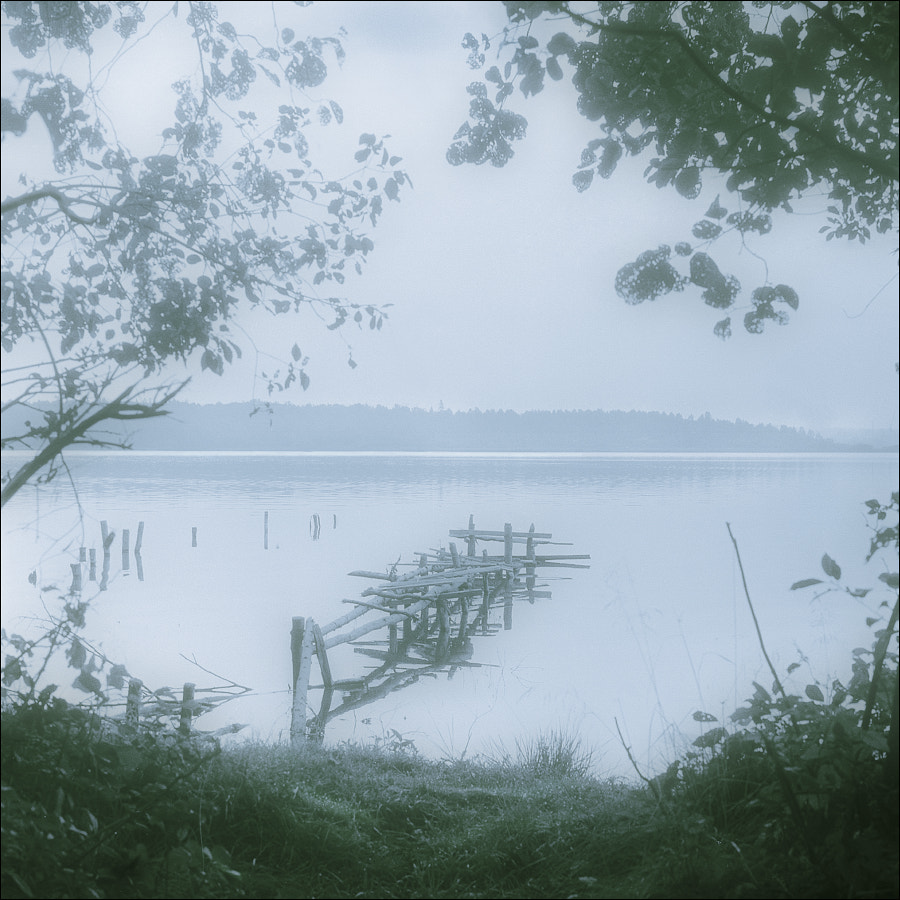 Morning by Alexander Iakovlev on 500px.com