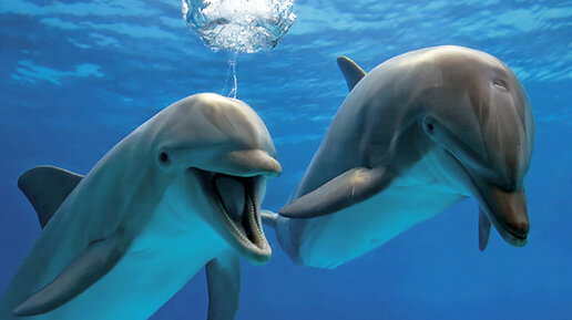 Так не бывает