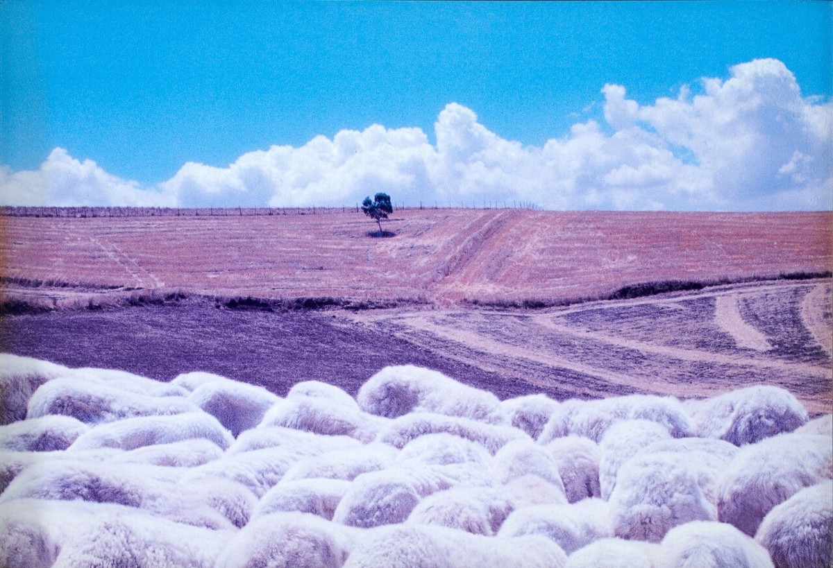 «Геометричные» пейзажи Франко Фонтаны, снятые в разных уголках планеты геометрия,планета,тревел-фото