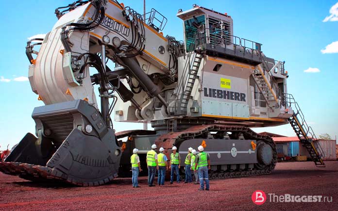 Liebherr R9800