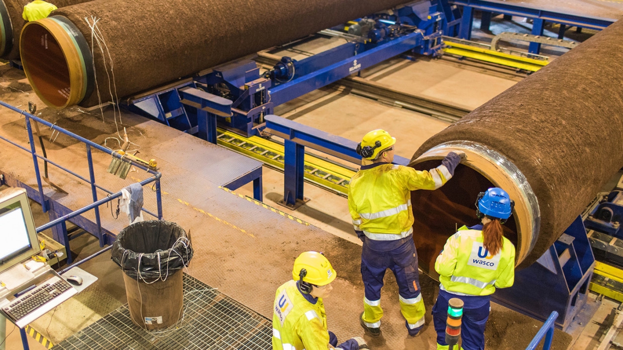 Экс-министр Украины назвал истинную причину обеспокоенности Киева из-за «СП-2»