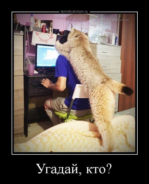 Новые демотиваторы для всех (25 шт)