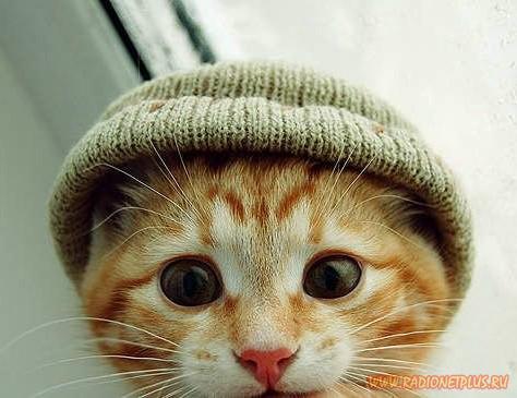 Давайте улыбаться вместе! :) Давайте улыбаться вместе! :)