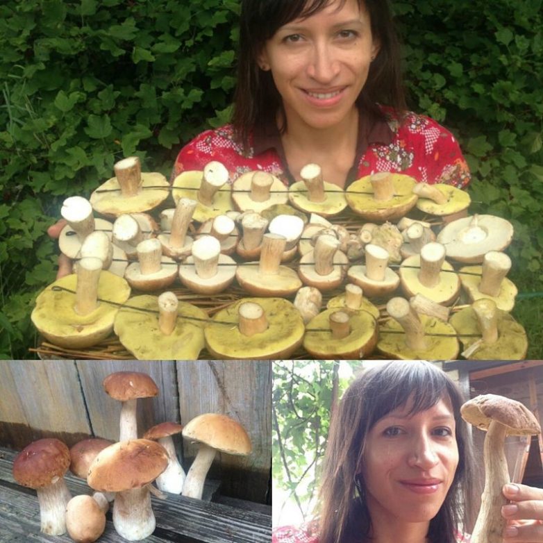 Знаменитости, которые тоже собирают грибы