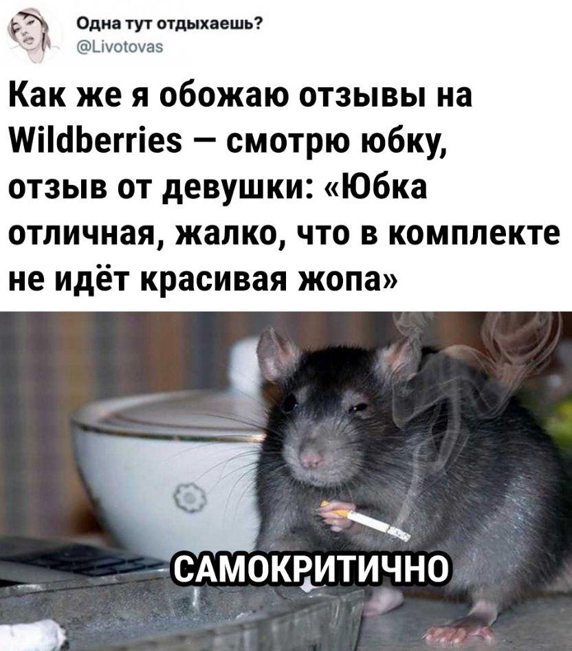 Юмор дня — смешные картинки с надписями 