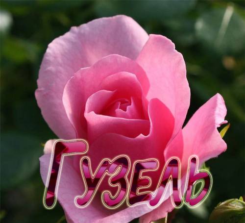 Картинки с днем рождения гузелька