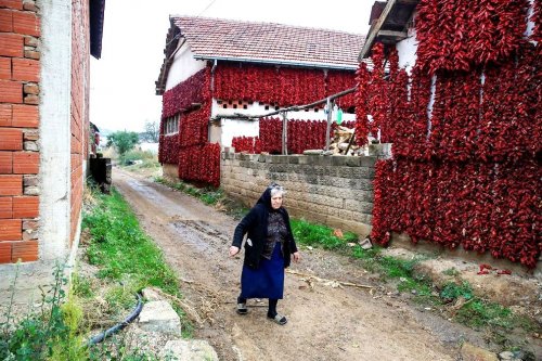 Донья Лакошница — мировая столица паприки (15 фото)