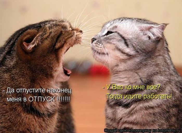 Мысли вслух :)