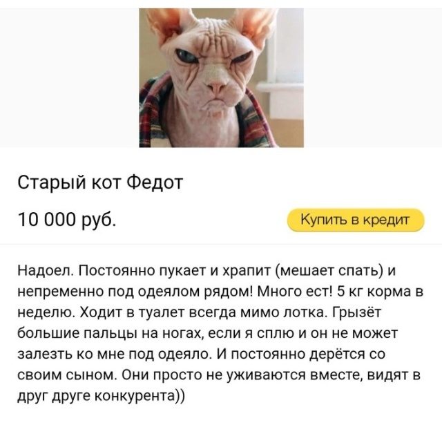 25 лучших приколов дня. Отличный сборник! 25 лучших приколов дня. Отличный сборник! смешные картинки