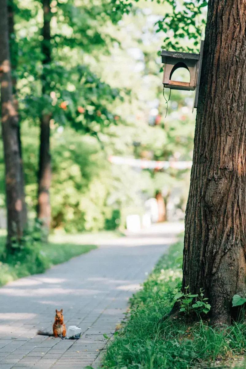 Куда поехать на майские праздники в Подмосковье: 7 проверенных парк-отелей с бассейнами Московская, можно, область, территория, также, отдыха, городской, бассейн, пруда, детей, анимация, округ, бассейном, сауны, берегу, веревочный, который, ресторан, апреля, Подмосковья