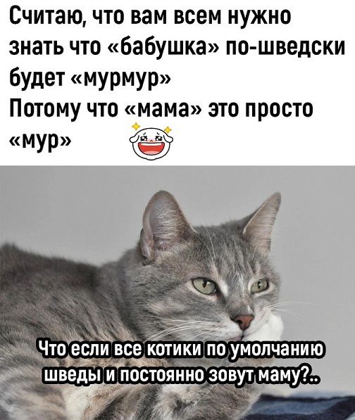 Отборный юмор для Вас! Отборный юмор для Вас!