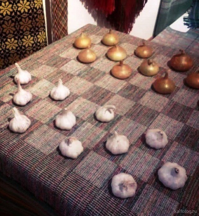 Приколы про лук Приколы про лук