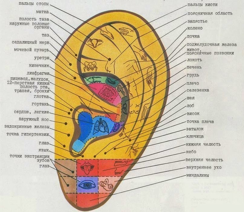 http://mtdata.ru/u1/photo788D/20347793562-0/original.jpg