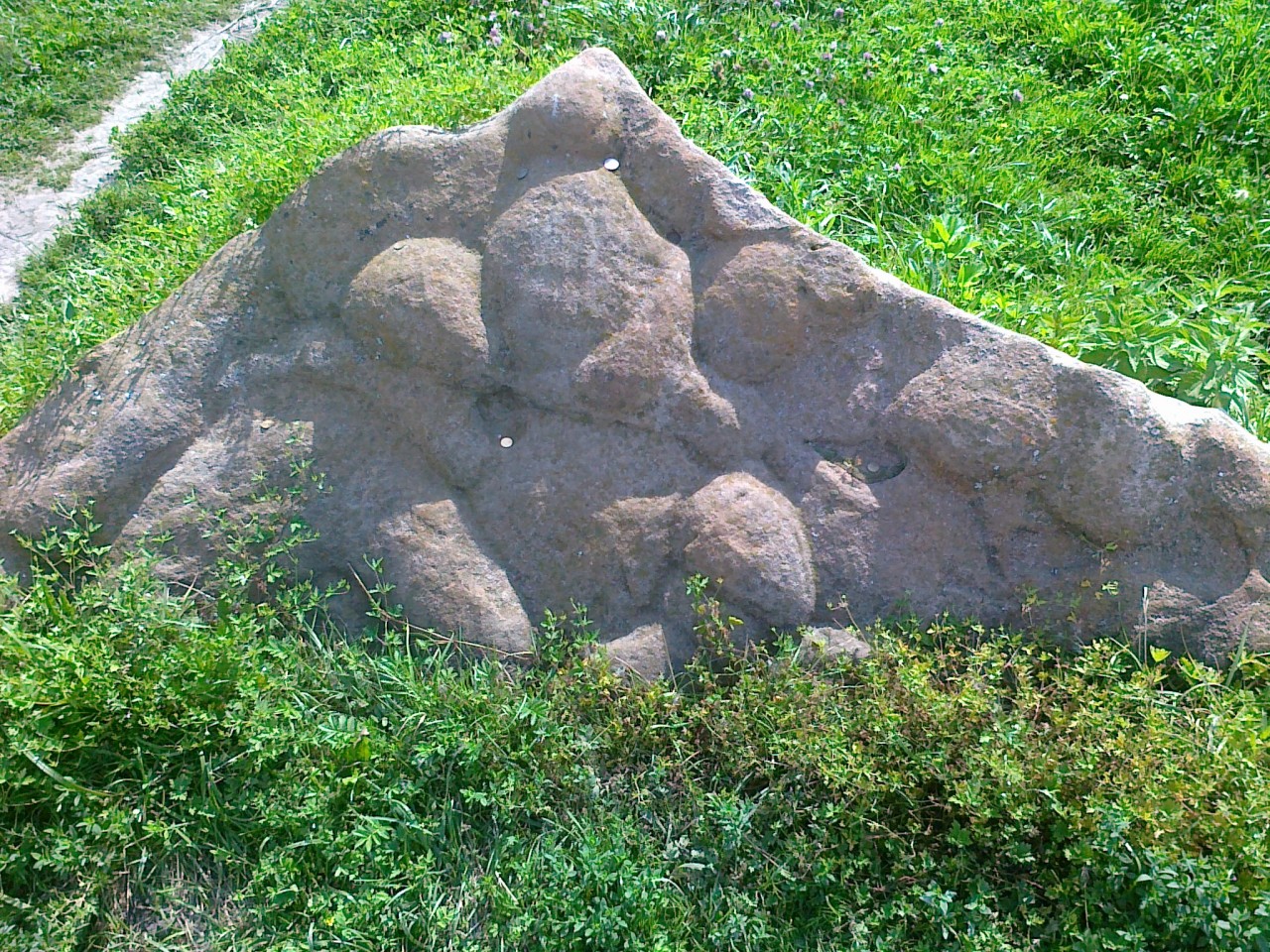 Где живут камни. Трованты Румыния. Трованты в Орловской области. Камни Трованты. Трованты живые камни.