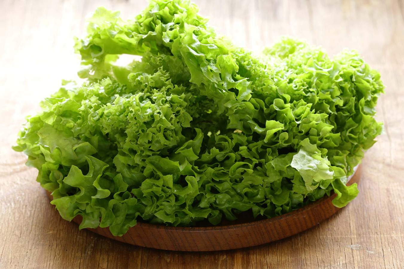 Сезон сочного салата: виды и применение в кулинарии салата, очень, листья, также, поэтому, добавляют, латука, количество, романо, разновидностей, напоминает, потому, подают, блюдам, чтобы, быстро, часто, салатной, имеет, качестве