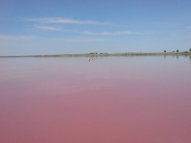 Алтайское розовое озеро
