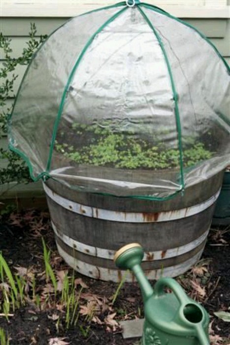 10 классных идей, как использовать старый зонтик