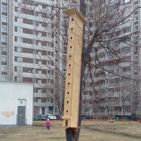 Иностранцы завистливо зовут ее «Russia» 