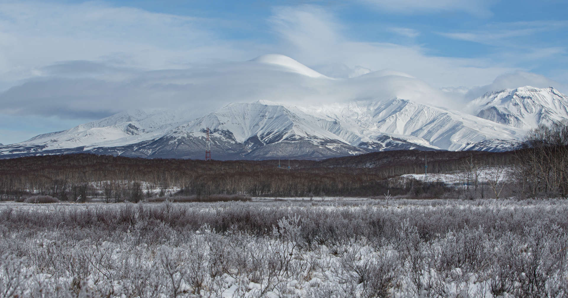 Камчатка Тайга