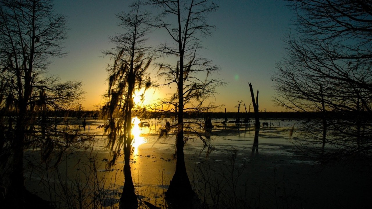 Шокирующие традиции американских студентов обычаи разных стран