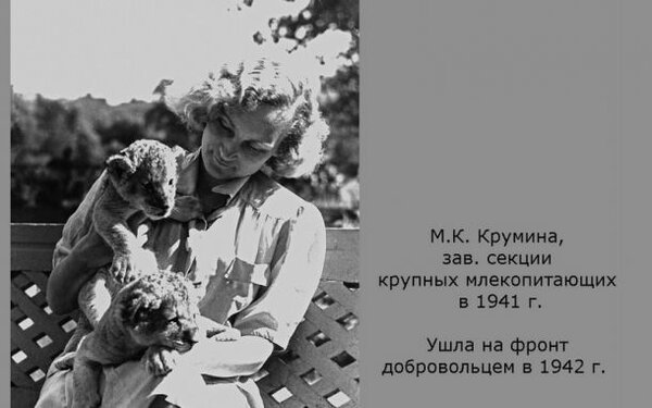 М.К. Крумина