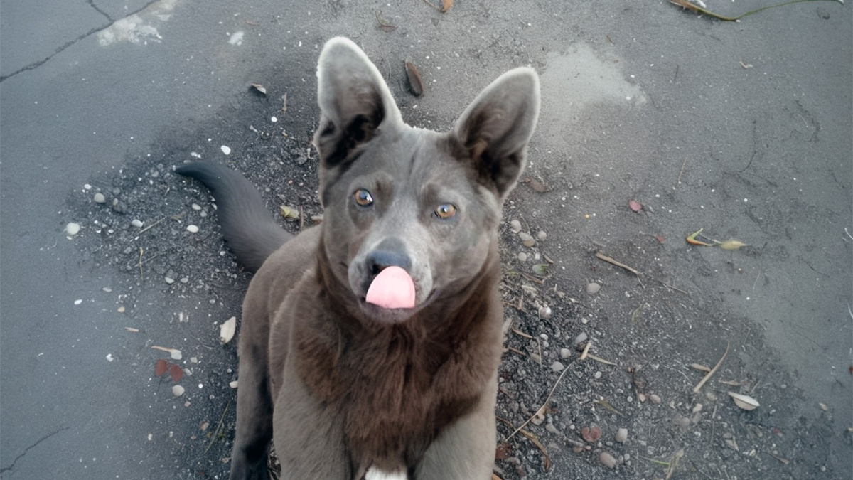 Несколько месяцев