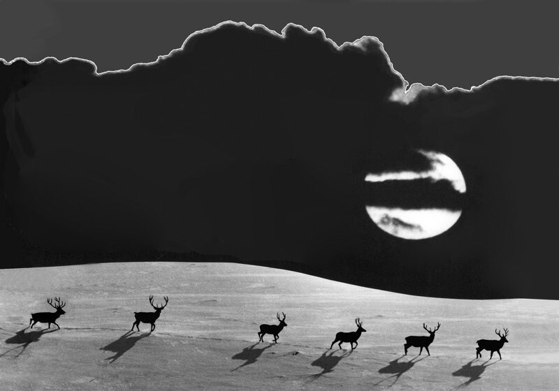 «Лунная ночь». Автор фото: Нужденко Эдуард. природа, россия, фото