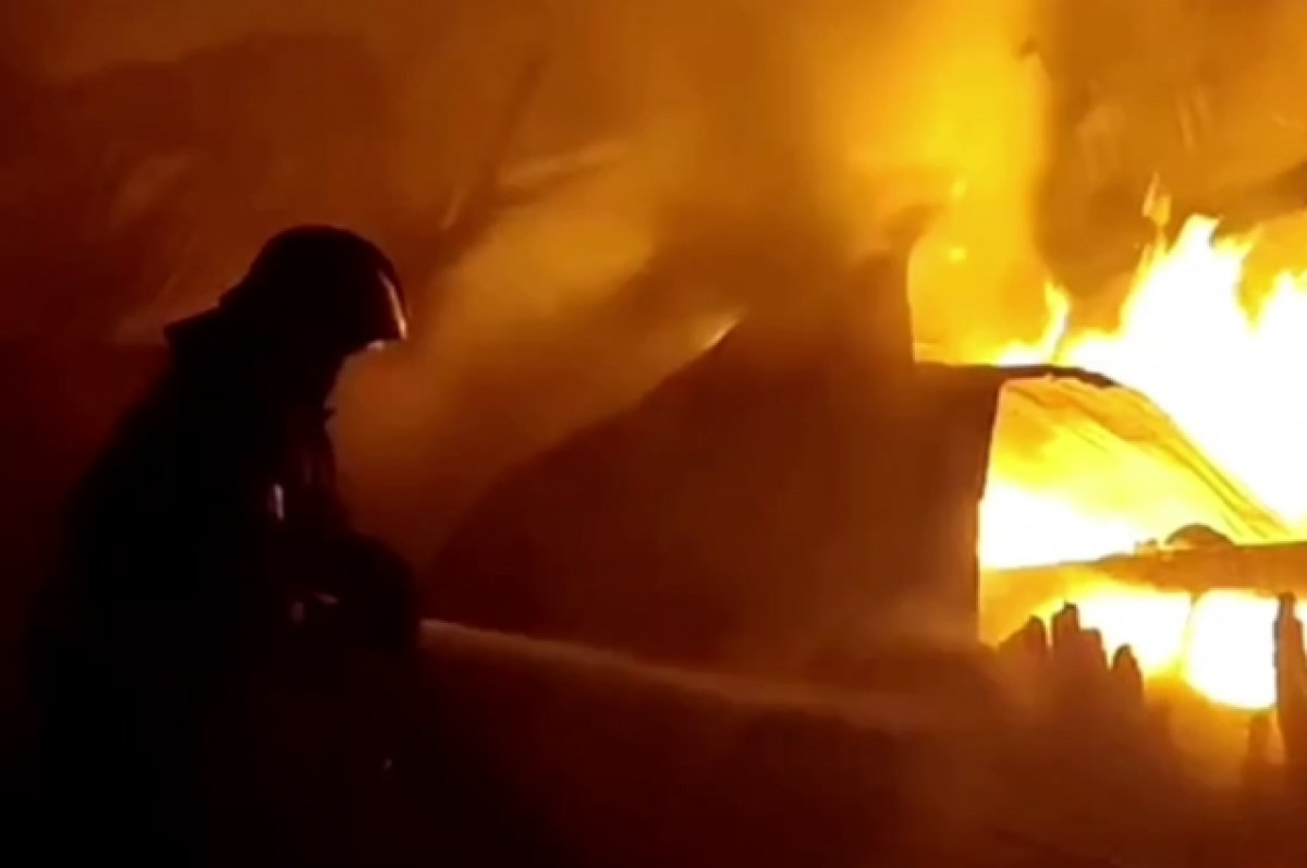 В Новгородской области горит ангар пилорамы на площади 1,5 тыс. кв. м
