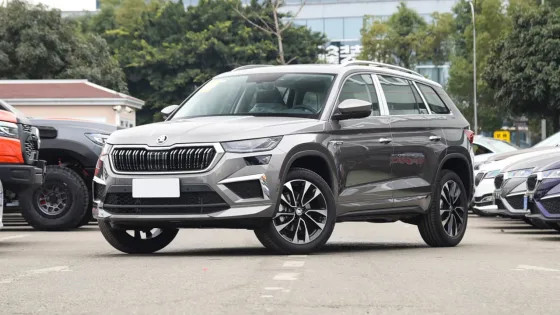 Почему в Китае стали массово закрываться дилеры Volkswagen, Skoda, Audi и BMW