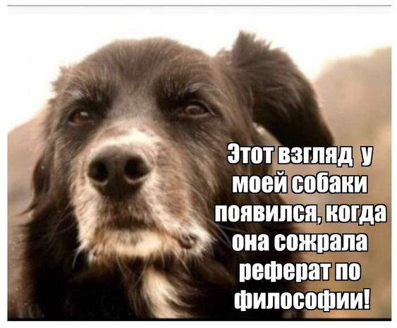 Клевые свежие картинки с надписями Клевые свежие картинки с надписями