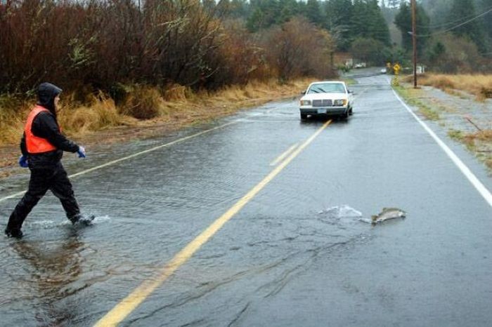 Улыбательные картинки картинки, прикол., фото