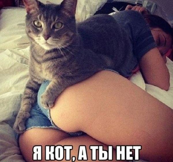 Еноты и не только.. Фото-приколы! Смешные прикольные картинки, фото приколы