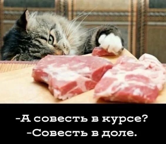 Немножко смешных зверушек... Надёргано , отовсюду