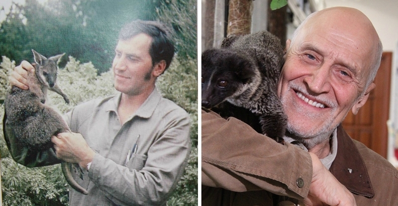 Экранные знаменитости в начале карьеры и сейчас Экранные знаменитости в начале карьеры и сейчас знаменитости