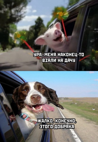 Подборка забавных твитов обо всем 