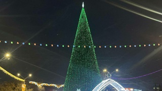 Новогодняя елка в Барнауле / Фото: amic.ru